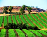 Valderice Sicily South Italy