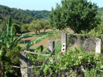 Giuseppe property South Italy  surrounded by fluorescent vegetation